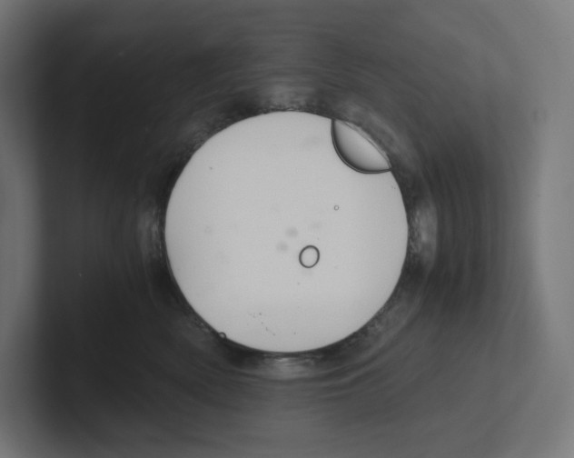 X0000102300522200808221423