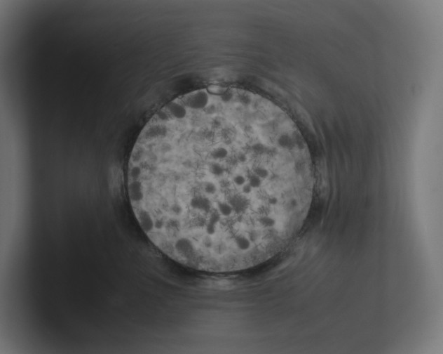 X0000102300523200808221423