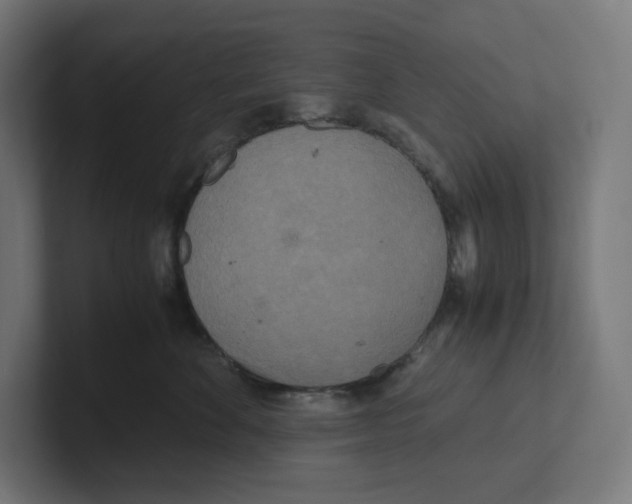 X0000102300524200808221423