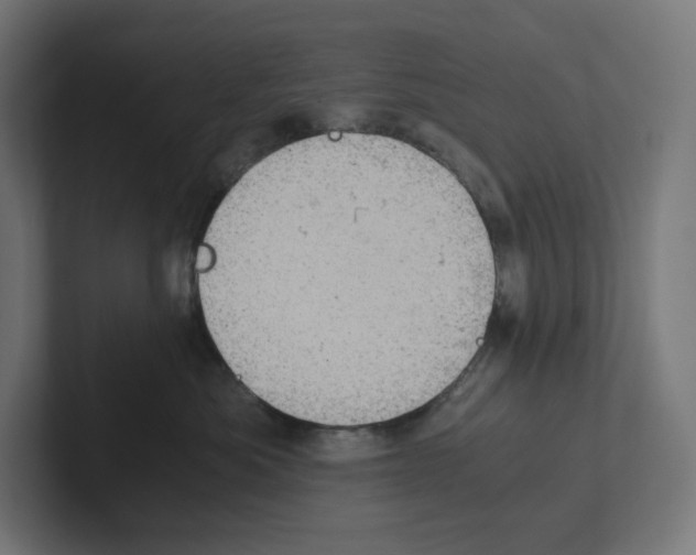 X0000102300525200808221423