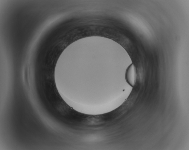X0000102300526200808221423