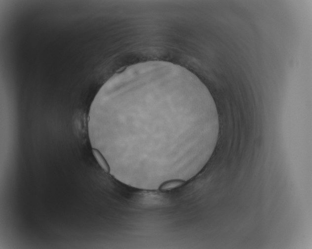 X0000102300528200808221423