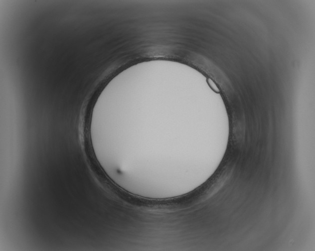 X0000102300530200808221423