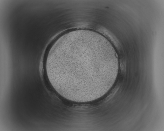X0000102300532200808221423