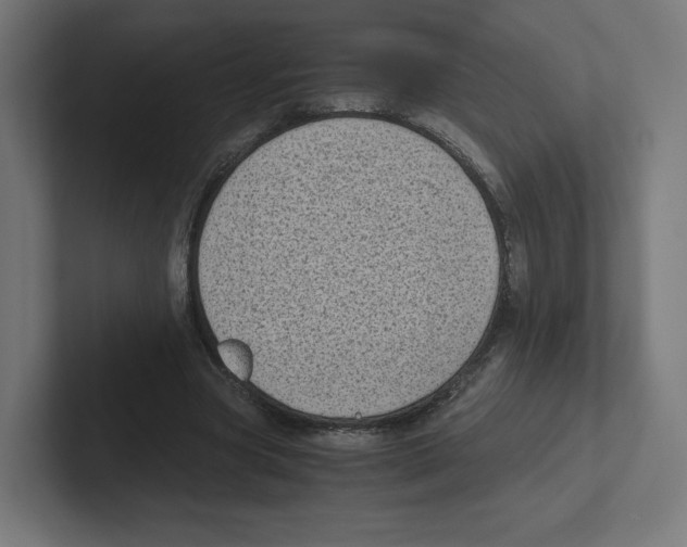X0000102300537200808221423