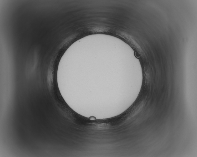 X0000102300539200808221423