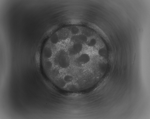 X0000102300542200808221423