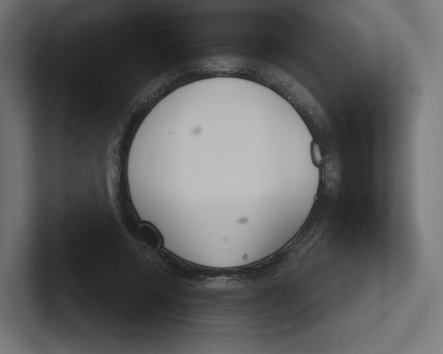 X0000102300544200808221423