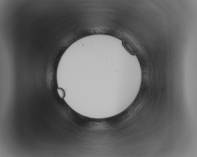 X0000102300548200808221423