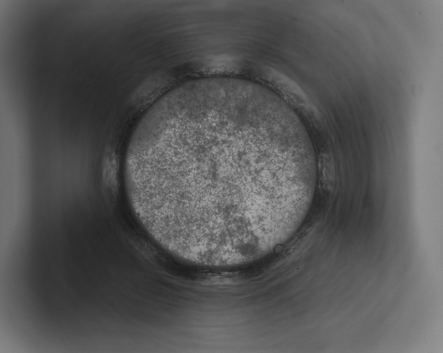 X0000102300550200808221423