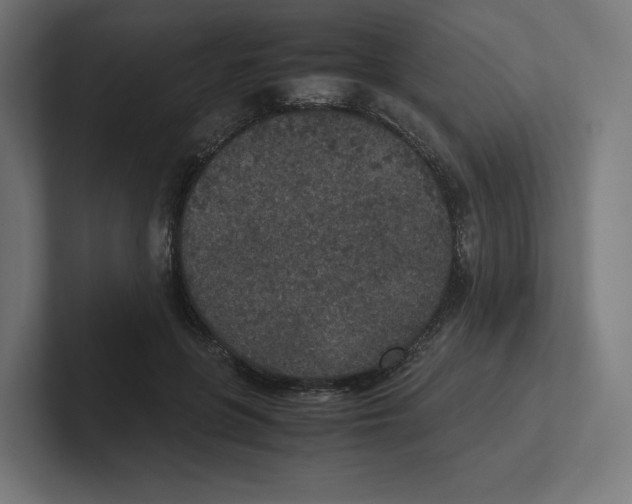 X0000102300551200808221423
