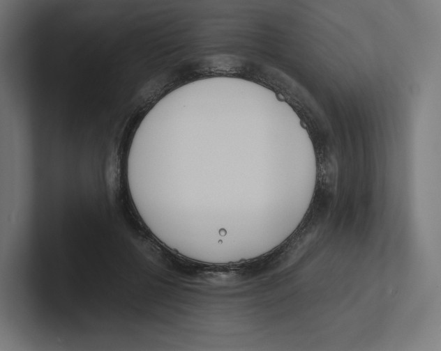 X0000102300552200808221423