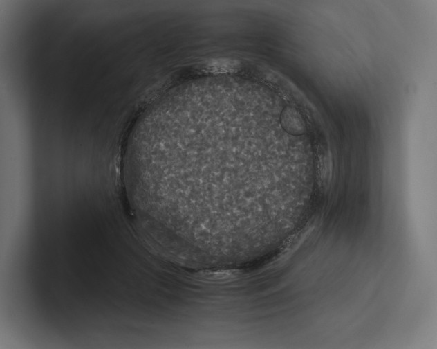 X0000102300553200808221423