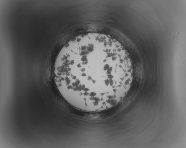 X0000102300554200808221423