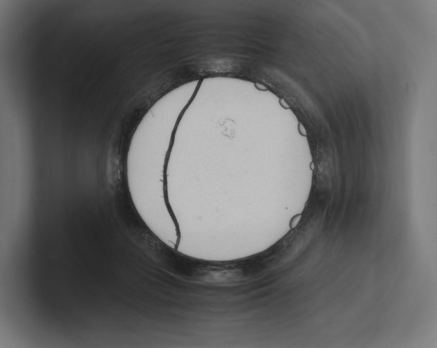 X0000102300555200808221423
