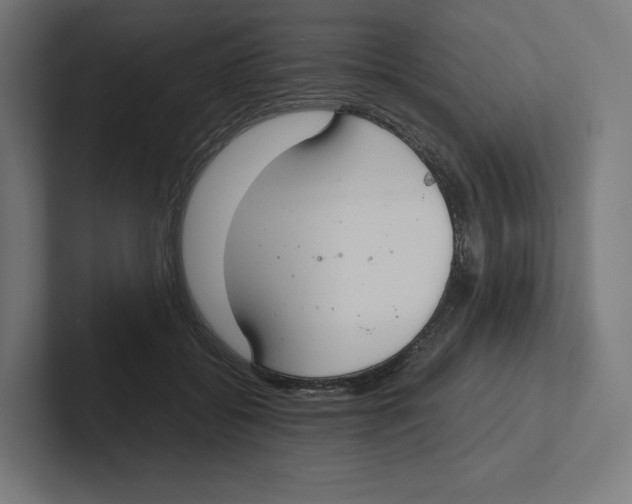X0000102300556200808221423