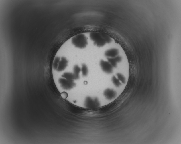 X0000102300557200808221423