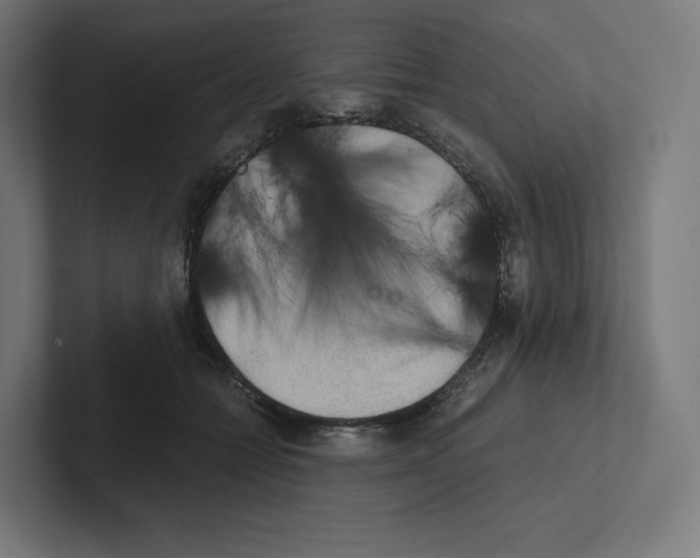 X0000102300558200808221423
