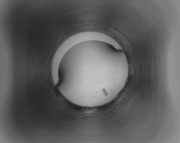 X0000102300560200808221423