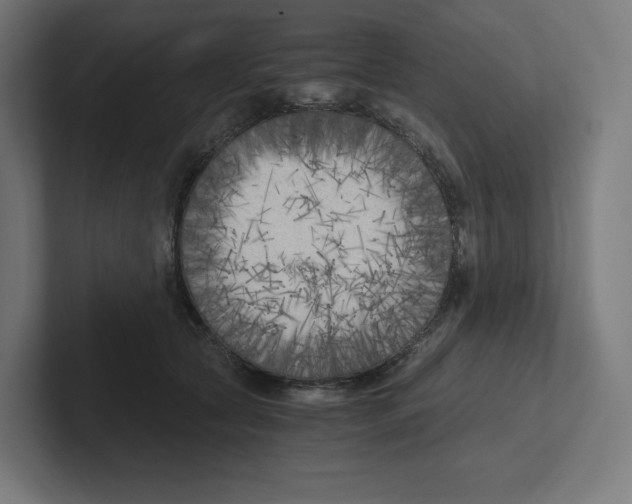 X0000102300561200808221423