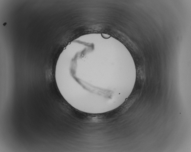 X0000102300564200808221423