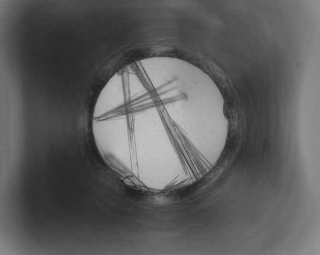 X0000102300565200808221423