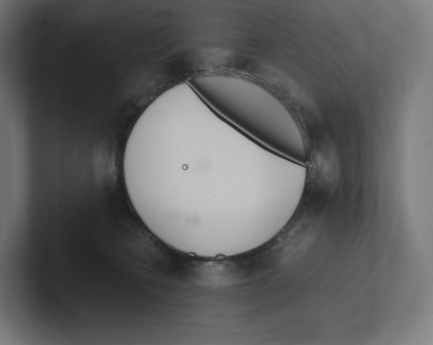 X0000102300566200808221423