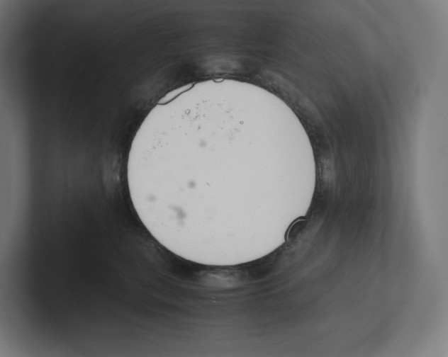 X0000102300567200808221423