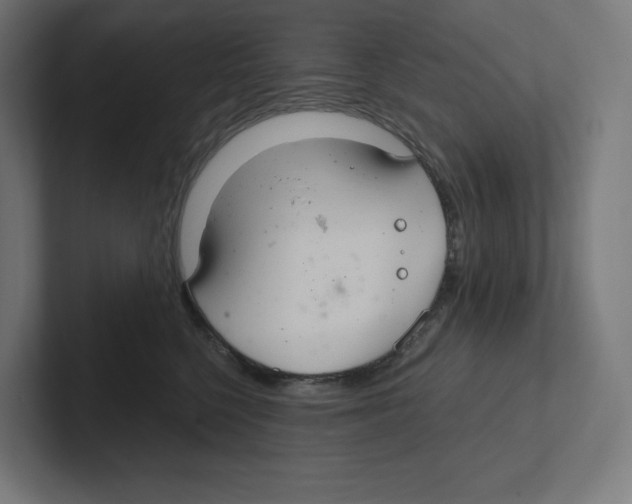X0000102300568200808221423