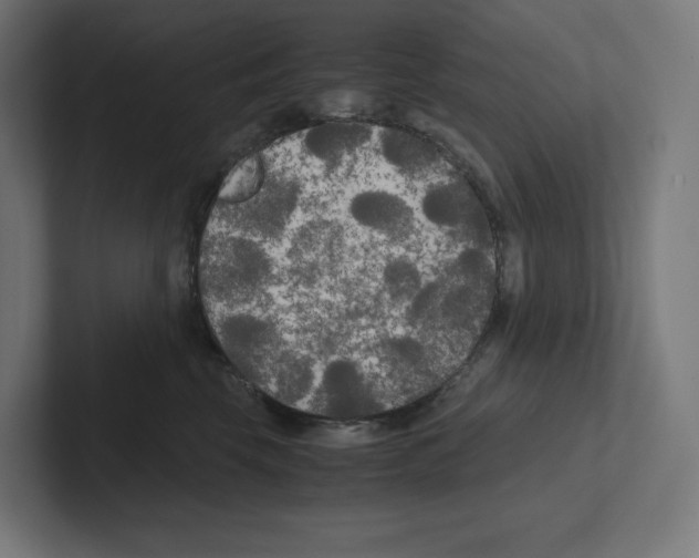 X0000102300569200808221423