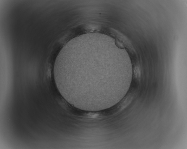 X0000102300570200808221423