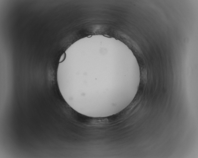 X0000102300571200808221423