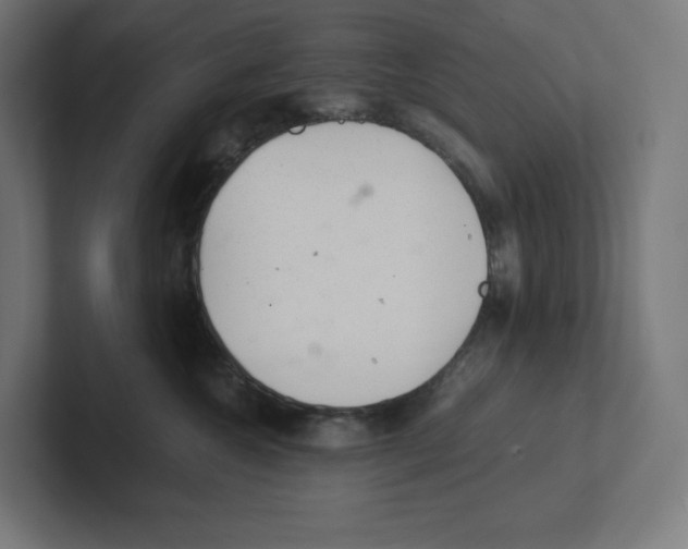 X0000102300572200808221423
