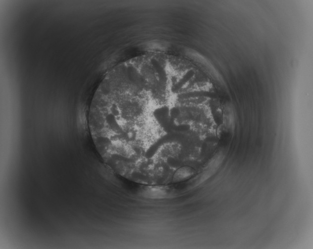 X0000102300573200808221423