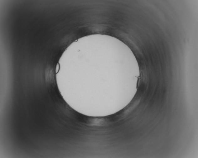 X0000102300575200808221423