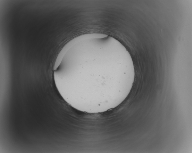 X0000102300576200808221423