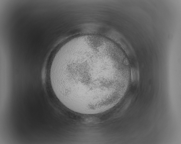 X0000102300579200808221423