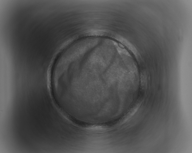 X0000102300581200808221423