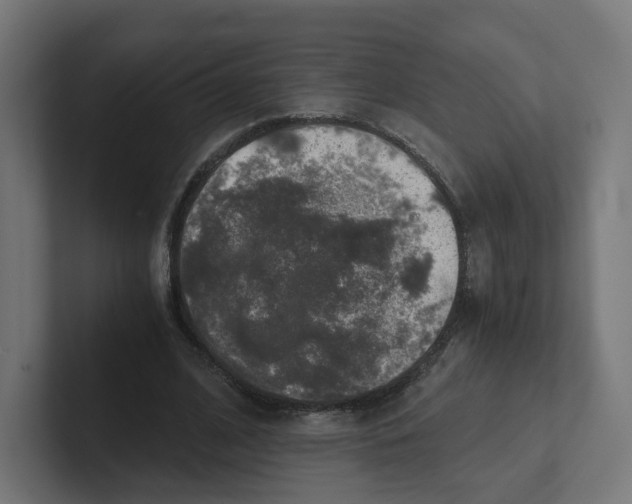 X0000102300584200808221423