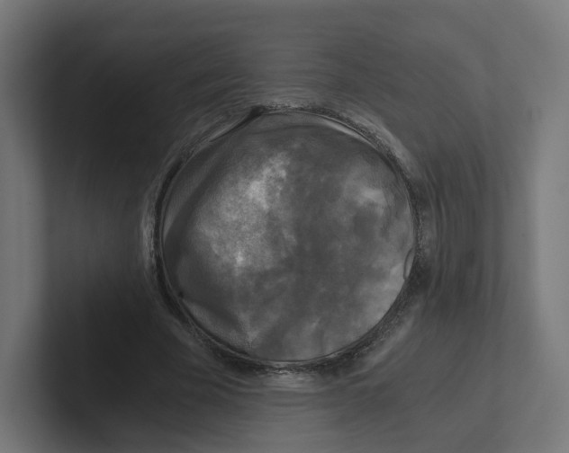 X0000102300585200808221423