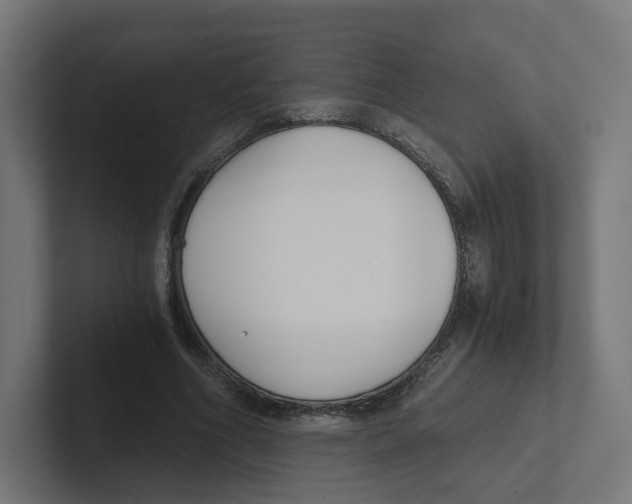X0000102300586200808221423