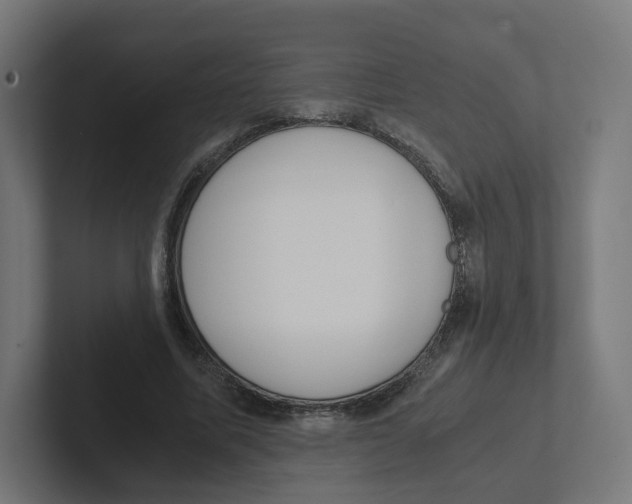 X0000102300587200808221422