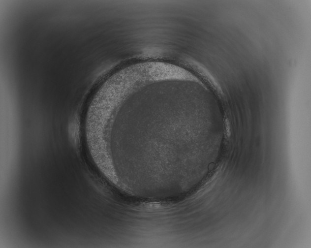 X0000102300588200808221422