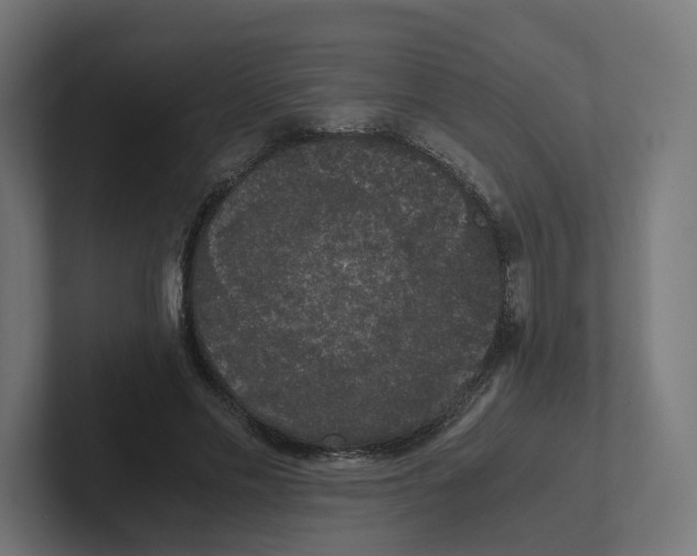 X0000102300589200808221422