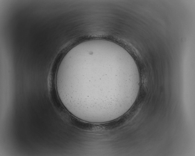 X0000102300591200808221422