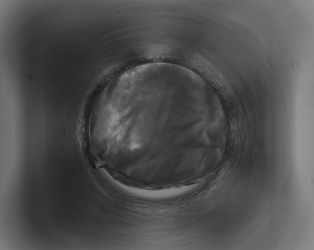 X0000102300592200808221422