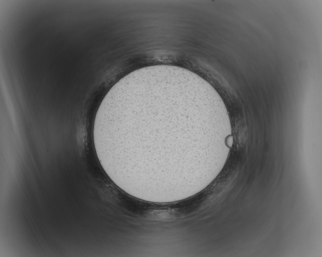 X0000102300595200808221422