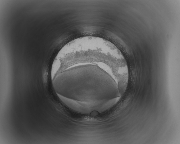 X0000102300596200808221422