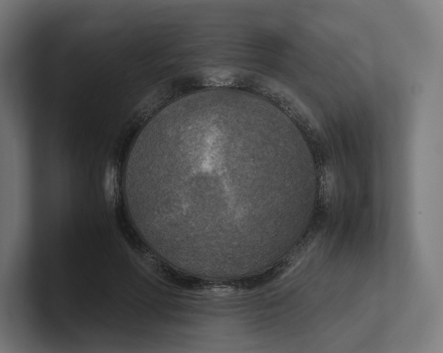 X0000102300598200808221422