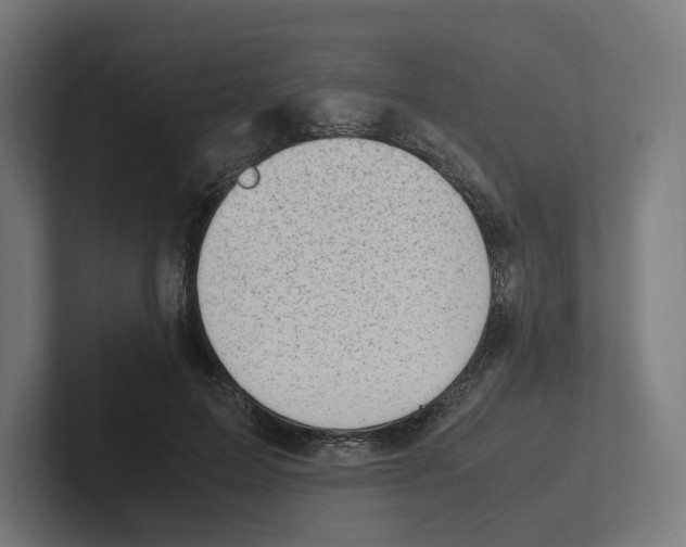 X0000102300599200808221422